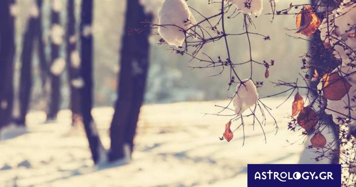 Διάβασε ΔΩΡΕΑΝ την προσωπική σου πρόβλεψη, για σήμερα 10/12/2022