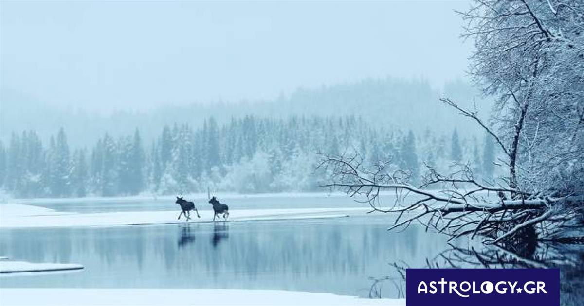 Διάβασε ΔΩΡΕΑΝ την προσωπική σου πρόβλεψη, για σήμερα 11/12/2022