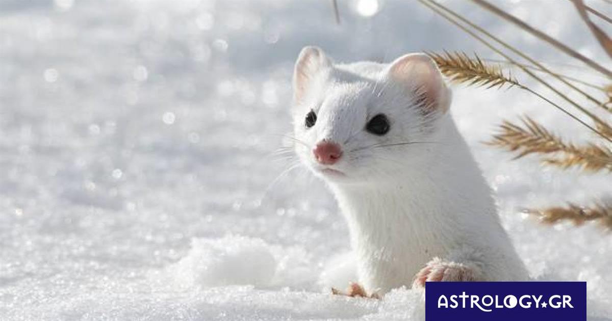 Διάβασε ΔΩΡΕΑΝ την προσωπική σου πρόβλεψη, για σήμερα 13/12/2022