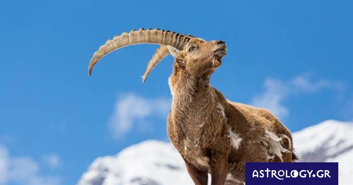 Διάβασε ΔΩΡΕΑΝ την προσωπική σου πρόβλεψη, για σήμερα 15/12/2022