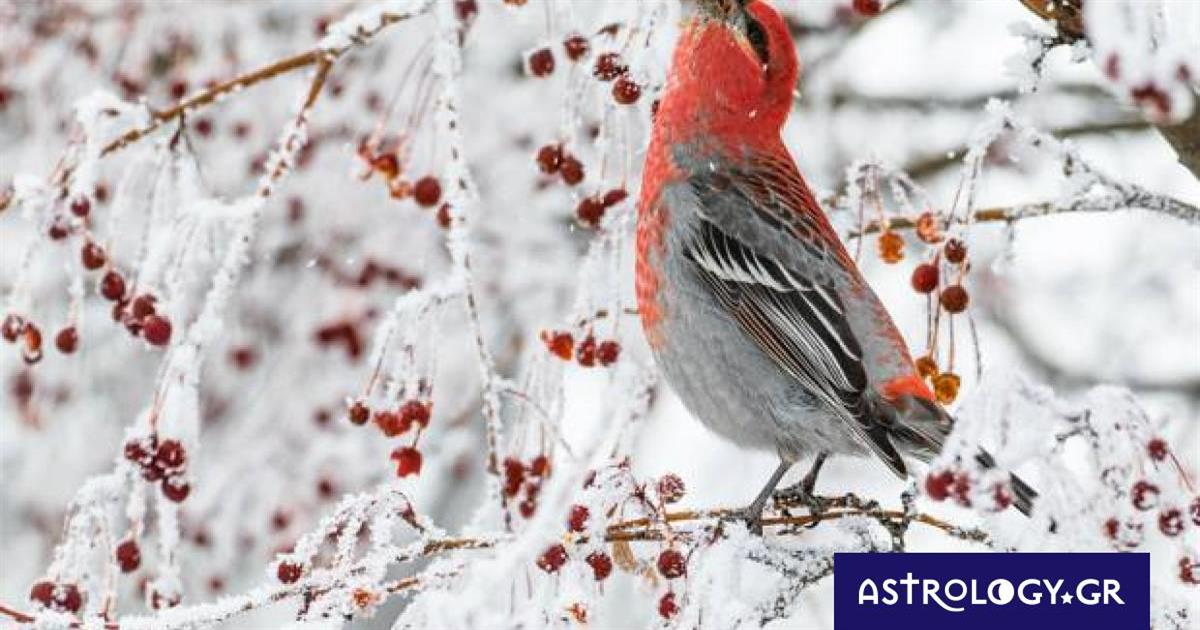 Διάβασε ΔΩΡΕΑΝ την προσωπική σου πρόβλεψη, για σήμερα 17/12/2022