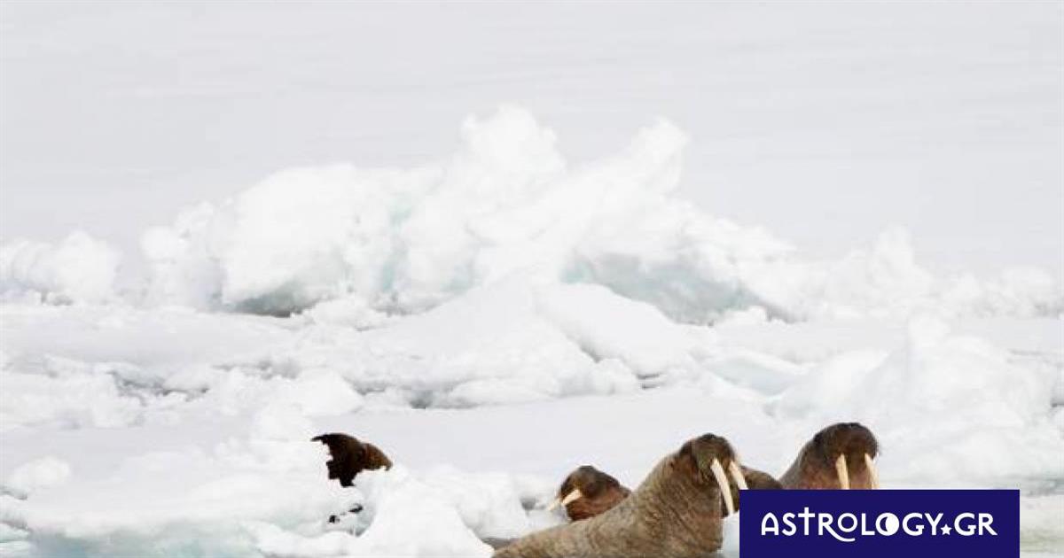 Διάβασε ΔΩΡΕΑΝ την προσωπική σου πρόβλεψη, για σήμερα 19/12/2022