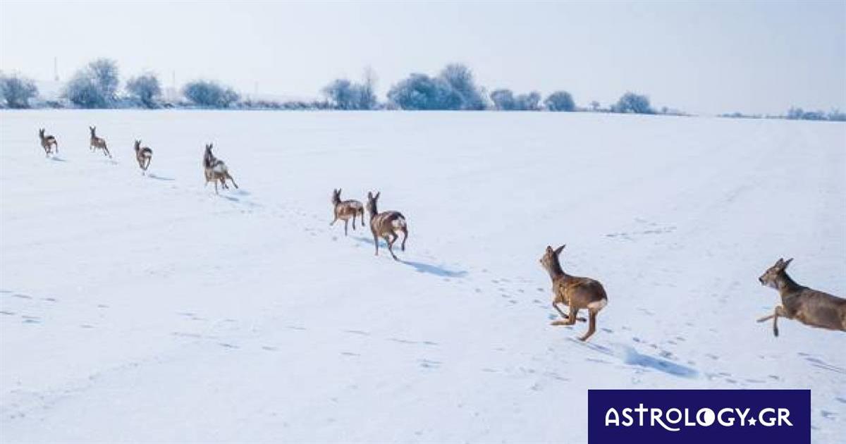 Διάβασε ΔΩΡΕΑΝ την προσωπική σου πρόβλεψη, για σήμερα 21/12/2022