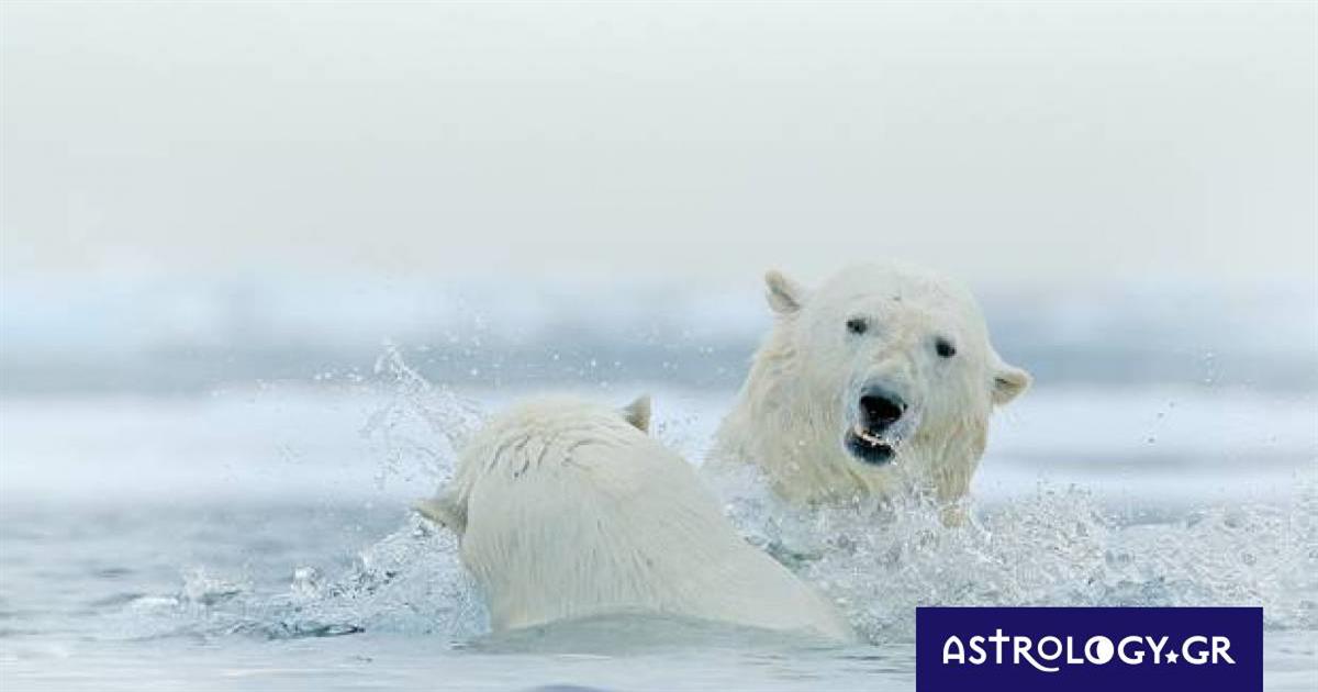 Διάβασε ΔΩΡΕΑΝ την προσωπική σου πρόβλεψη, για σήμερα 23/12/2022