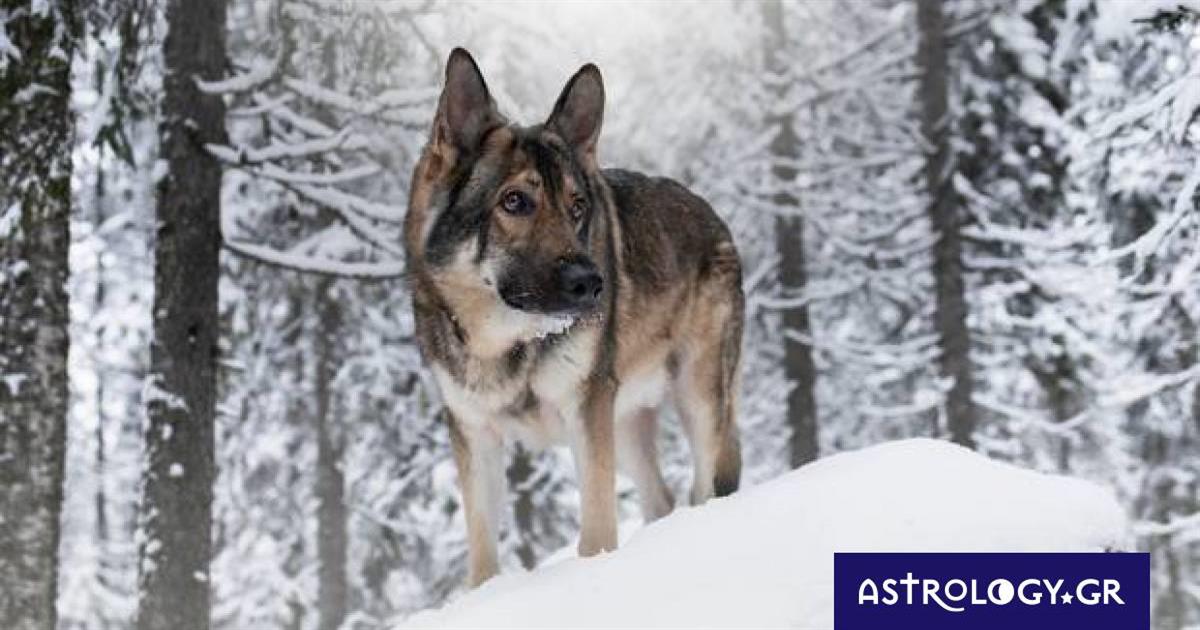 Διάβασε ΔΩΡΕΑΝ την προσωπική σου πρόβλεψη, για σήμερα 27/12/2022