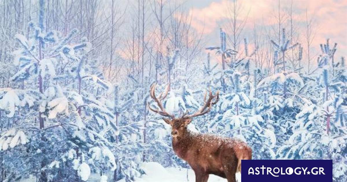 Διάβασε ΔΩΡΕΑΝ την προσωπική σου πρόβλεψη, για σήμερα 31/12/2022