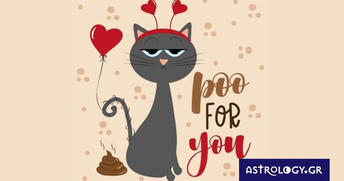 Ψήφισε και πες μας ποιο ζώδιο εκφράζει περισσότερο η γάτα στην φωτογραφία