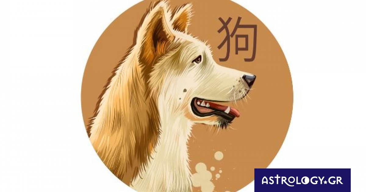 Κινέζικη Αστρολογία: Έτσι είναι ο Σκύλος στα αισθηματικά του