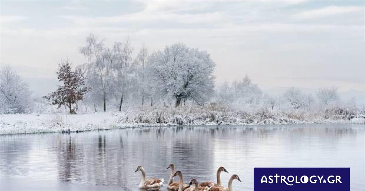 Διάβασε ΔΩΡΕΑΝ την προσωπική σου πρόβλεψη, για σήμερα 01/01/2023