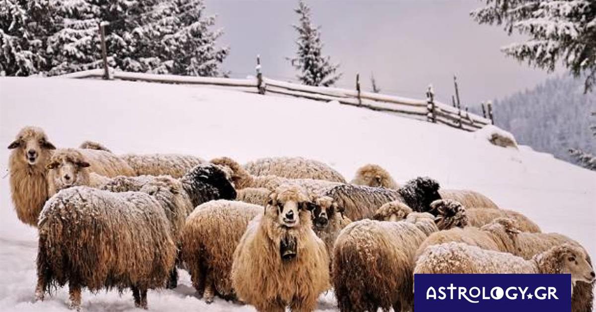Διάβασε ΔΩΡΕΑΝ την προσωπική σου πρόβλεψη, για σήμερα 05/01/2023