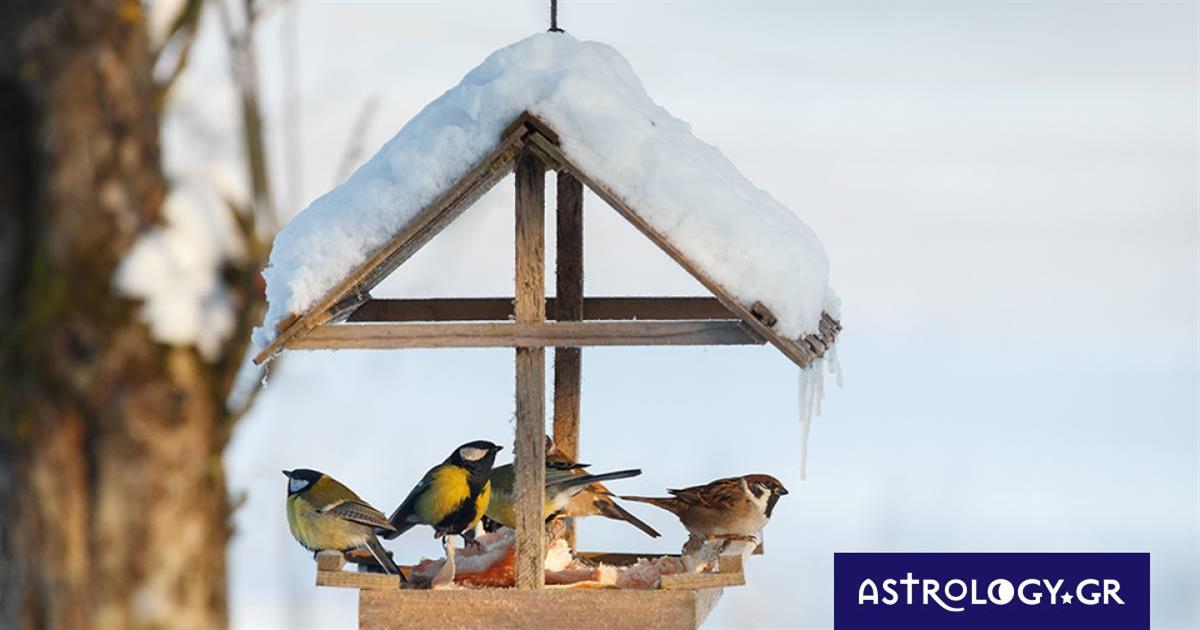 Διάβασε ΔΩΡΕΑΝ την προσωπική σου πρόβλεψη, για σήμερα 07/01/2023