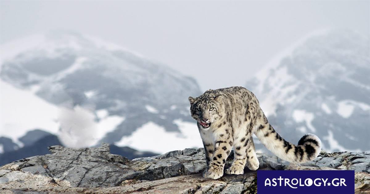 Διάβασε ΔΩΡΕΑΝ την προσωπική σου πρόβλεψη, για σήμερα 09/01/2023