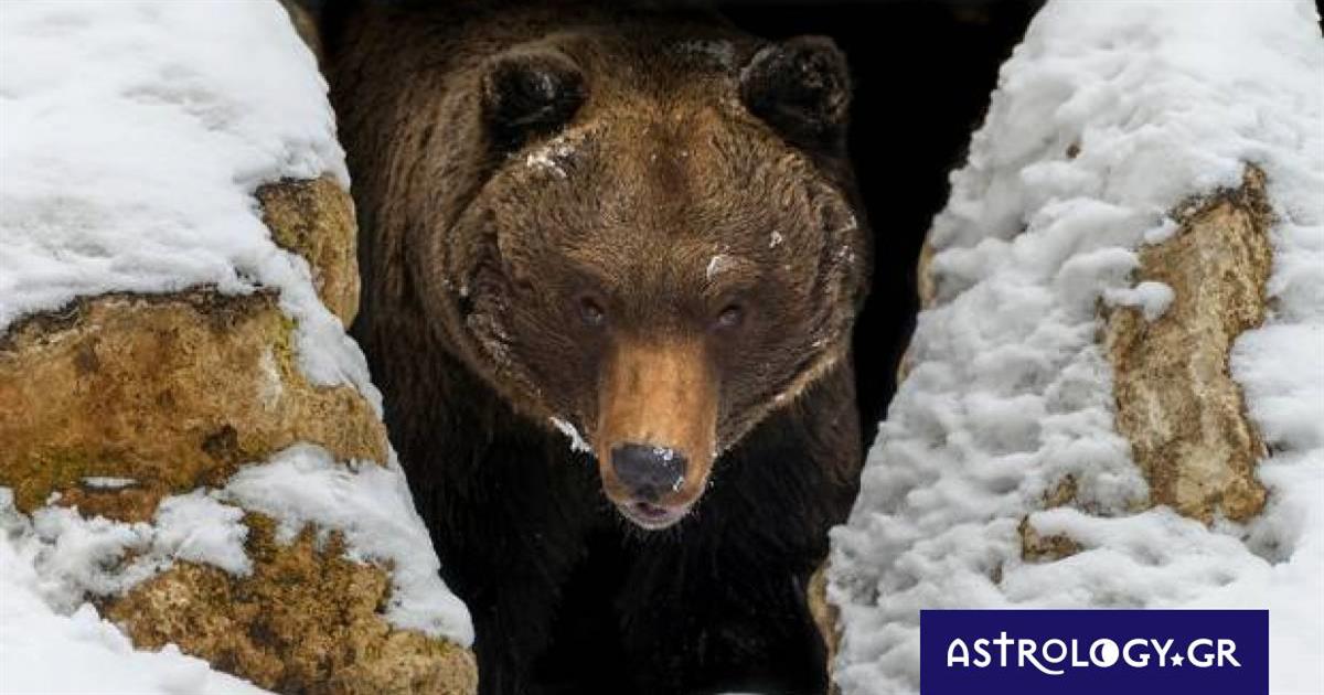 Διάβασε ΔΩΡΕΑΝ την προσωπική σου πρόβλεψη, για σήμερα 13/01/2023