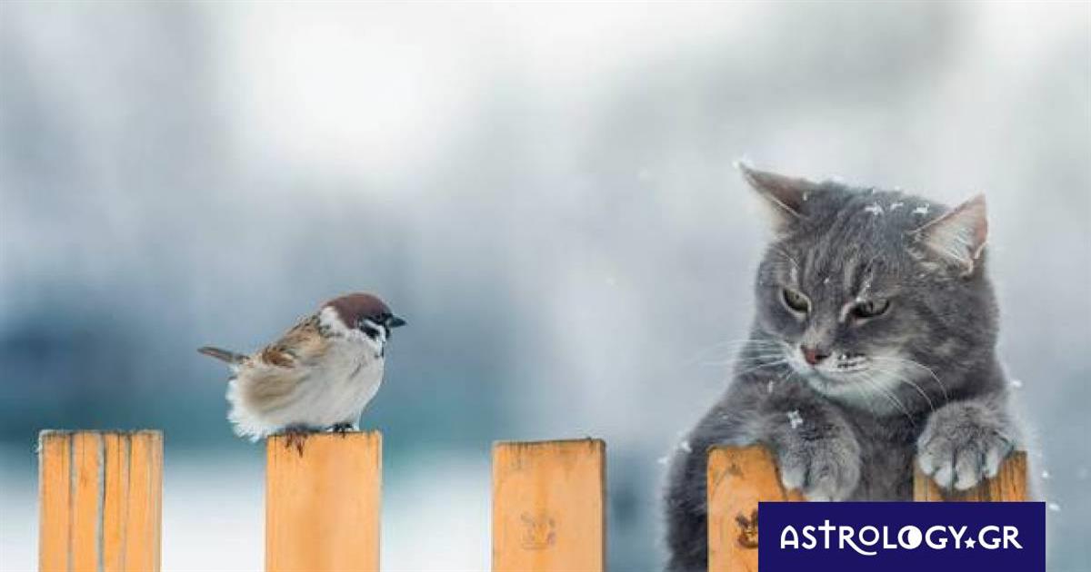 Διάβασε ΔΩΡΕΑΝ την προσωπική σου πρόβλεψη, για σήμερα 15/01/2023