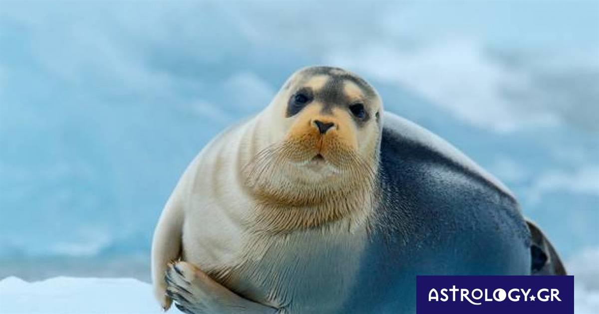 Διάβασε ΔΩΡΕΑΝ την προσωπική σου πρόβλεψη, για σήμερα 17/01/2023