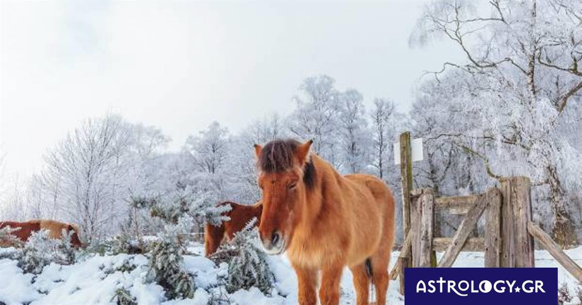 Διάβασε ΔΩΡΕΑΝ την προσωπική σου πρόβλεψη, για σήμερα 19/01/2023