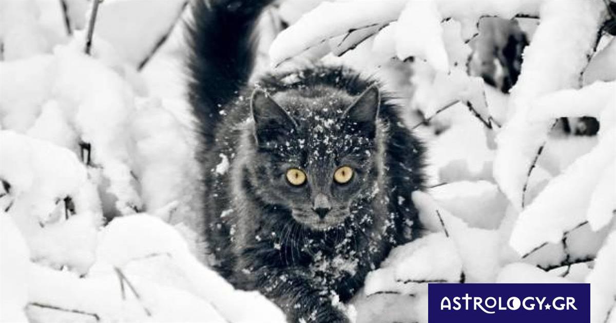 Διάβασε ΔΩΡΕΑΝ την προσωπική σου πρόβλεψη, για σήμερα 21/01/2023