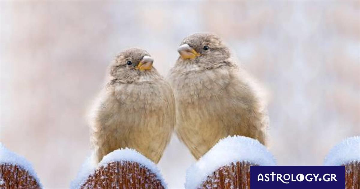 Διάβασε ΔΩΡΕΑΝ την προσωπική σου πρόβλεψη, για σήμερα 23/01/2023
