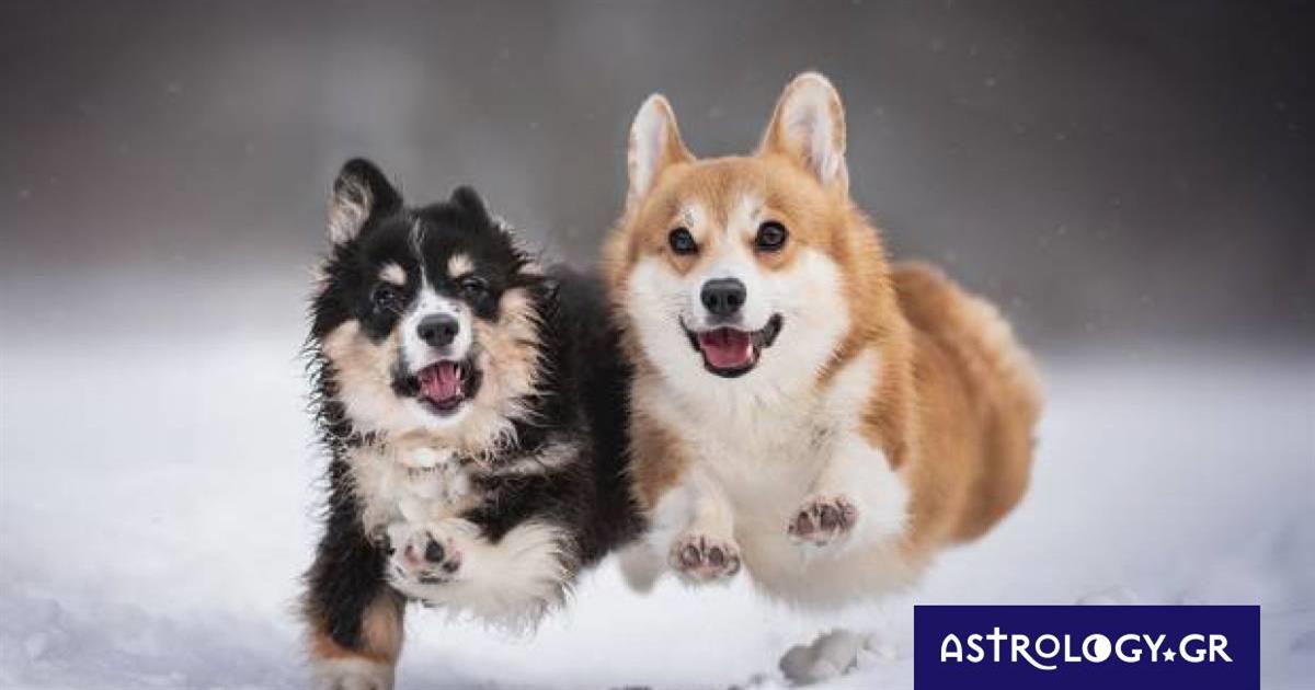 Διάβασε ΔΩΡΕΑΝ την προσωπική σου πρόβλεψη, για σήμερα 25/01/2023