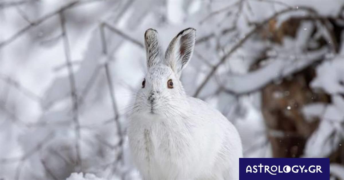 Διάβασε ΔΩΡΕΑΝ την προσωπική σου πρόβλεψη, για σήμερα 31/01/2023