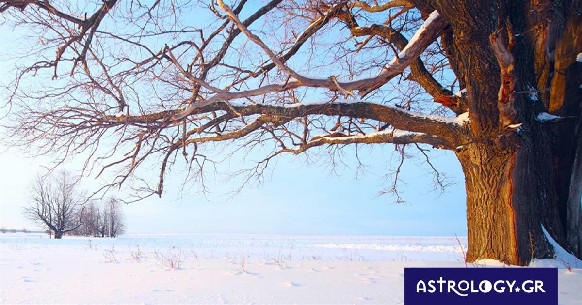 Φεβρουάριος 2023: Όλα όσα πρέπει να γνωρίζεις για τους πλανήτες και τα ζώδια