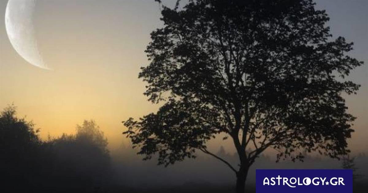 Νέα Σελήνη στον Υδροχόο: Αυτά τα ζώδια θα κάνουν μια καινούργια αρχή