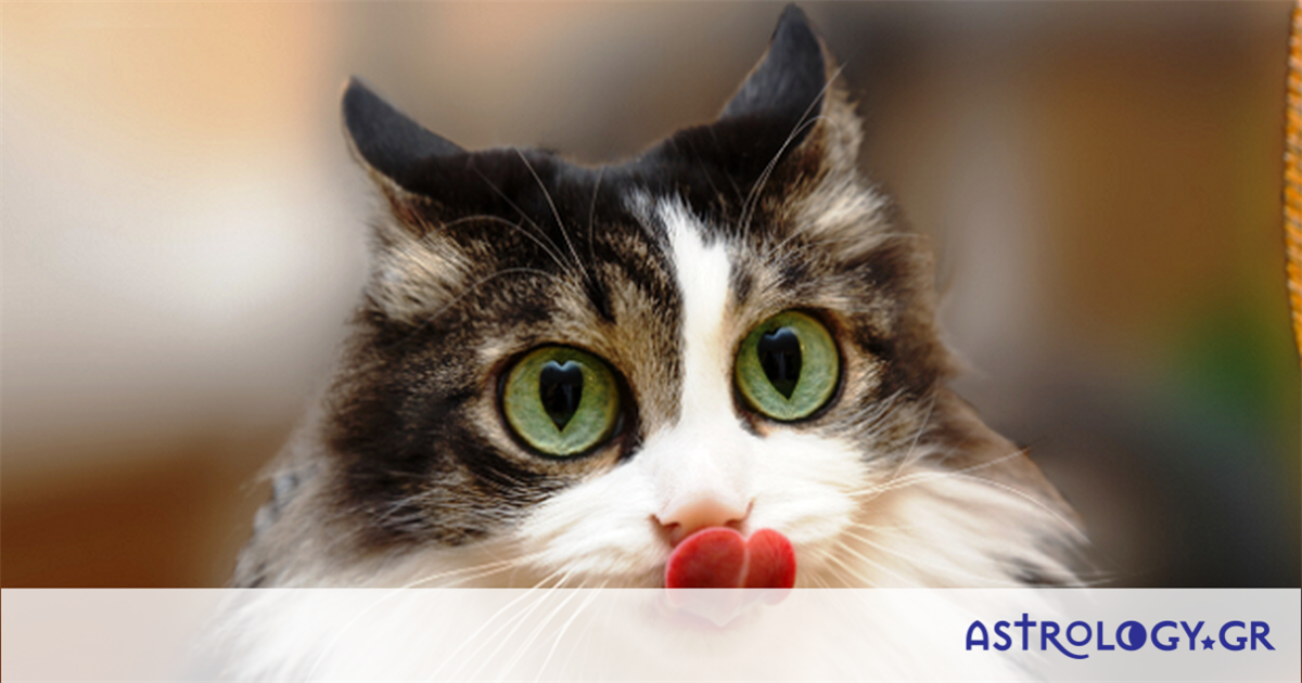 Έχεις Αφροδίτη σε Κριό, Λέοντα ή Τοξότη; Αυτός ο τύπος σχέσης σε τραβάει