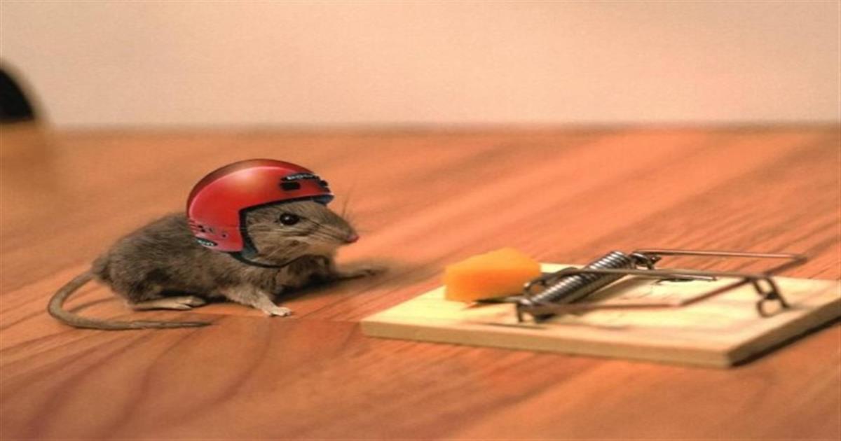 Το πάνε φιρί-φιρί: Αυτά τα ζώδια “παίρνουν” το ρίσκο τους και δεν φοβούνται τις αλλαγές