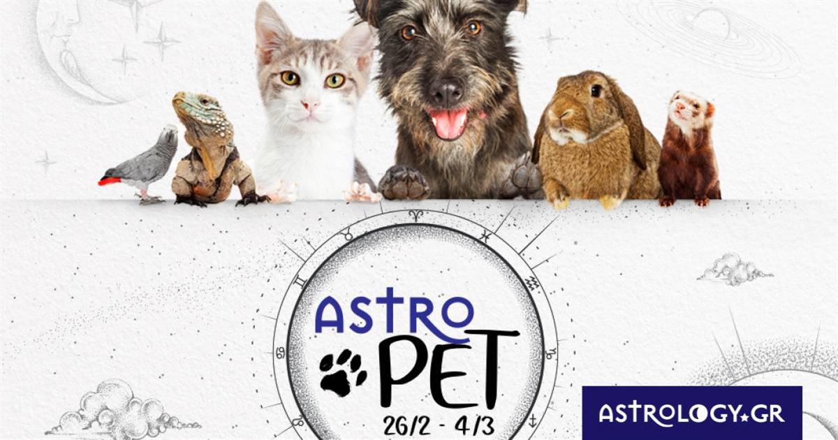AstroPet από 26/02 έως 04/03: Εβδομαδιαίες προβλέψεις για το κατοικίδιό σου