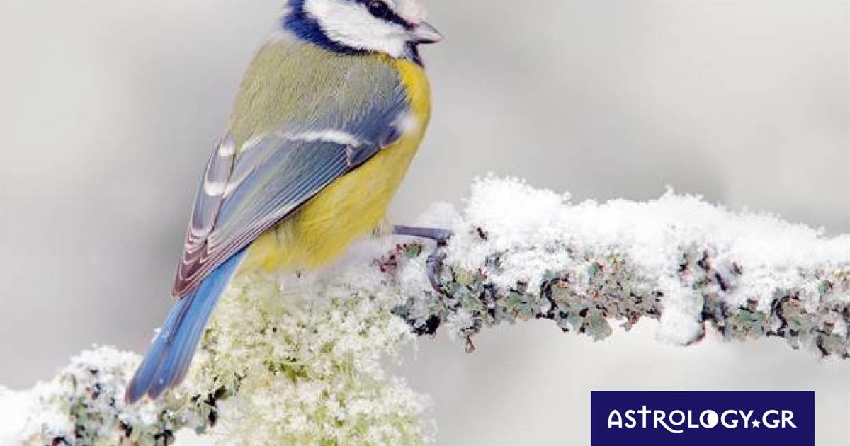 Διάβασε ΔΩΡΕΑΝ την προσωπική σου πρόβλεψη, για σήμερα 01/02/2023