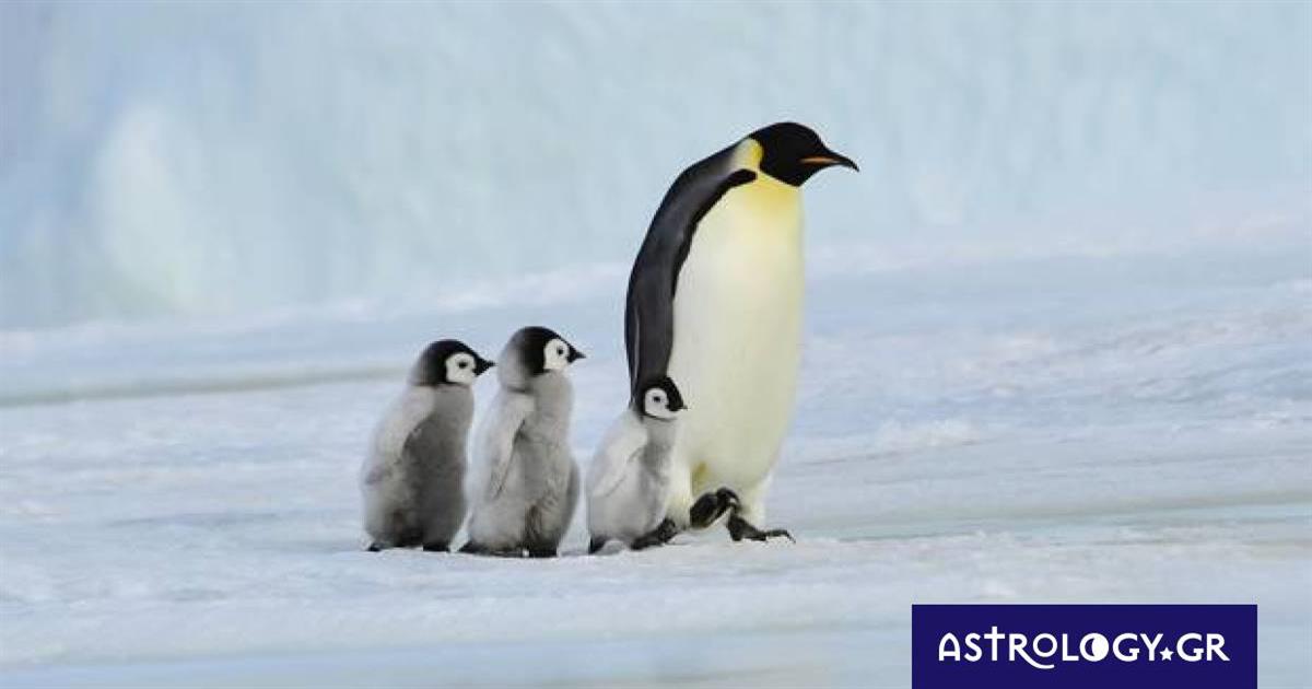 Διάβασε ΔΩΡΕΑΝ την προσωπική σου πρόβλεψη, για σήμερα 03/02/2023