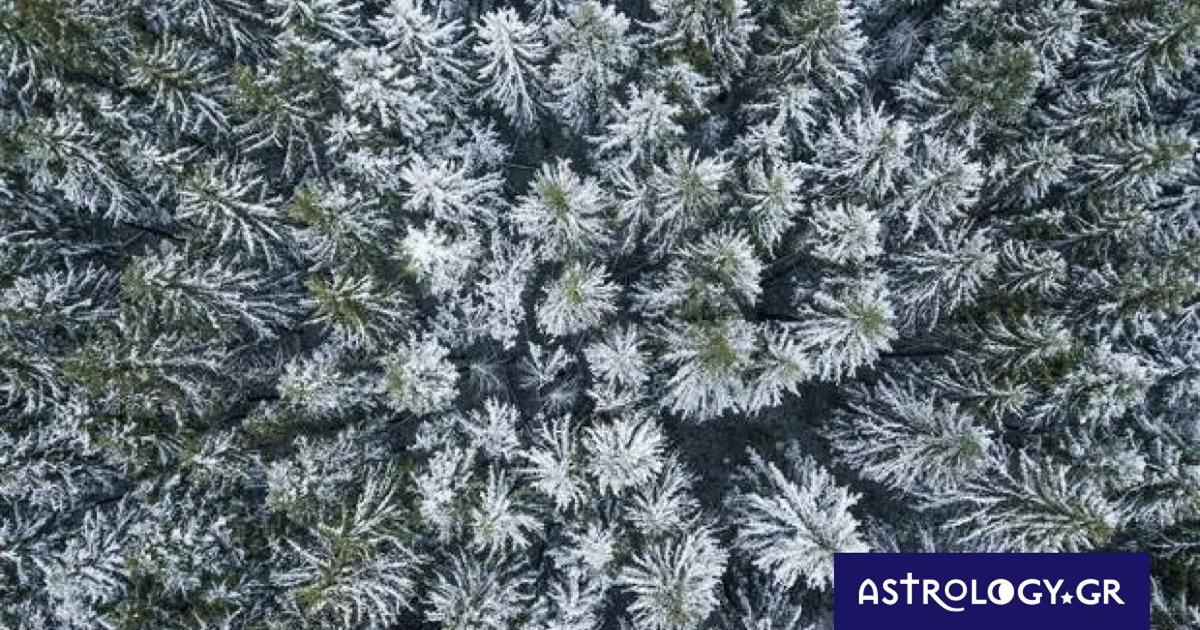 Διάβασε ΔΩΡΕΑΝ την προσωπική σου πρόβλεψη, για σήμερα 04/02/2023