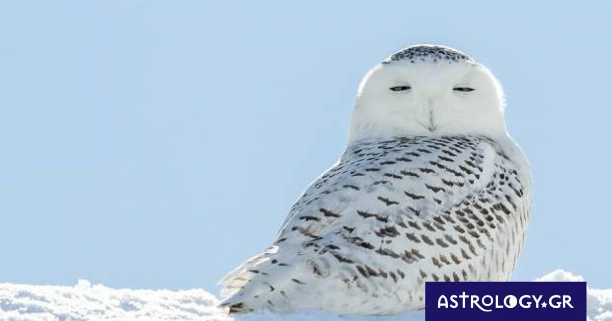 Διάβασε ΔΩΡΕΑΝ την προσωπική σου πρόβλεψη, για σήμερα 05/02/2023