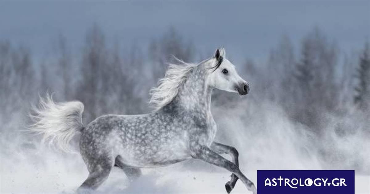 Διάβασε ΔΩΡΕΑΝ την προσωπική σου πρόβλεψη, για σήμερα 07/02/2023
