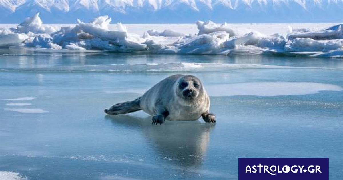 Διάβασε ΔΩΡΕΑΝ την προσωπική σου πρόβλεψη, για σήμερα 11/02/2023