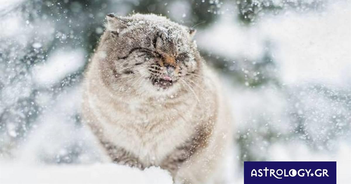 Διάβασε ΔΩΡΕΑΝ την προσωπική σου πρόβλεψη, για σήμερα 13/02/2023