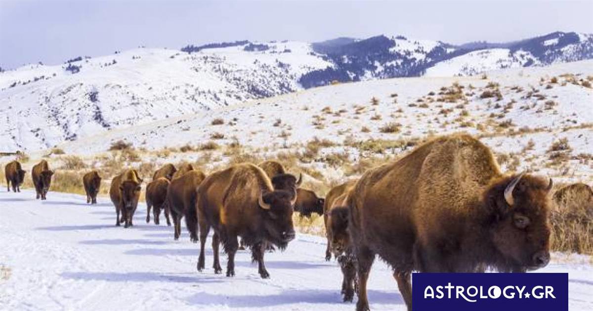 Διάβασε ΔΩΡΕΑΝ την προσωπική σου πρόβλεψη, για σήμερα 15/02/2023