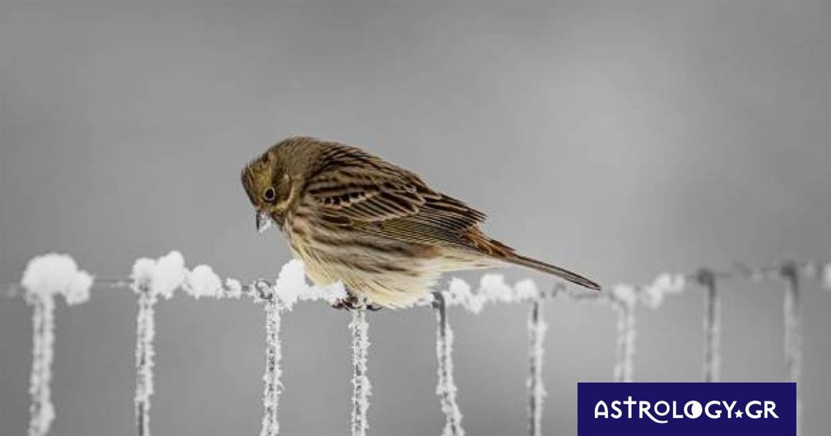 Διάβασε ΔΩΡΕΑΝ την προσωπική σου πρόβλεψη, για σήμερα 17/02/2023