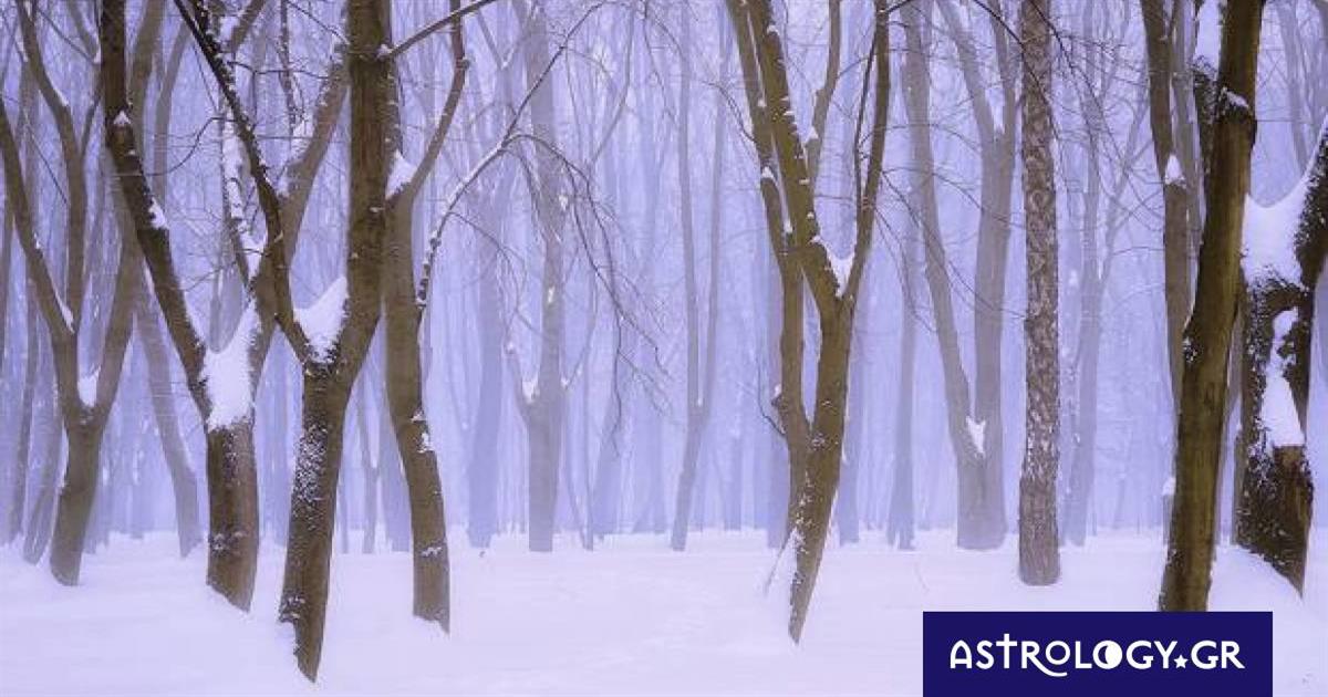 Διάβασε ΔΩΡΕΑΝ την προσωπική σου πρόβλεψη, για σήμερα 18/02/2023