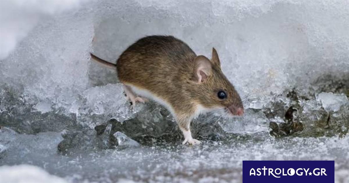 Διάβασε ΔΩΡΕΑΝ την προσωπική σου πρόβλεψη, για σήμερα 19/02/2023