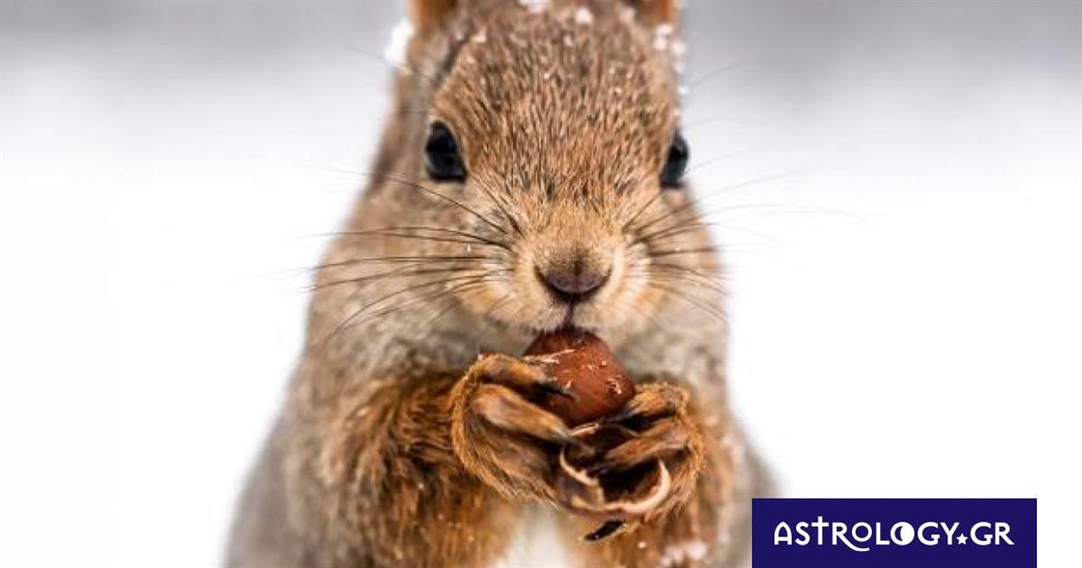 Διάβασε ΔΩΡΕΑΝ την προσωπική σου πρόβλεψη, για σήμερα 21/02/2023
