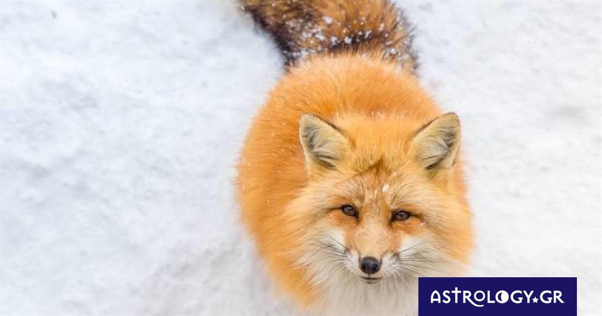 Διάβασε ΔΩΡΕΑΝ την προσωπική σου πρόβλεψη, για σήμερα 23/02/2023