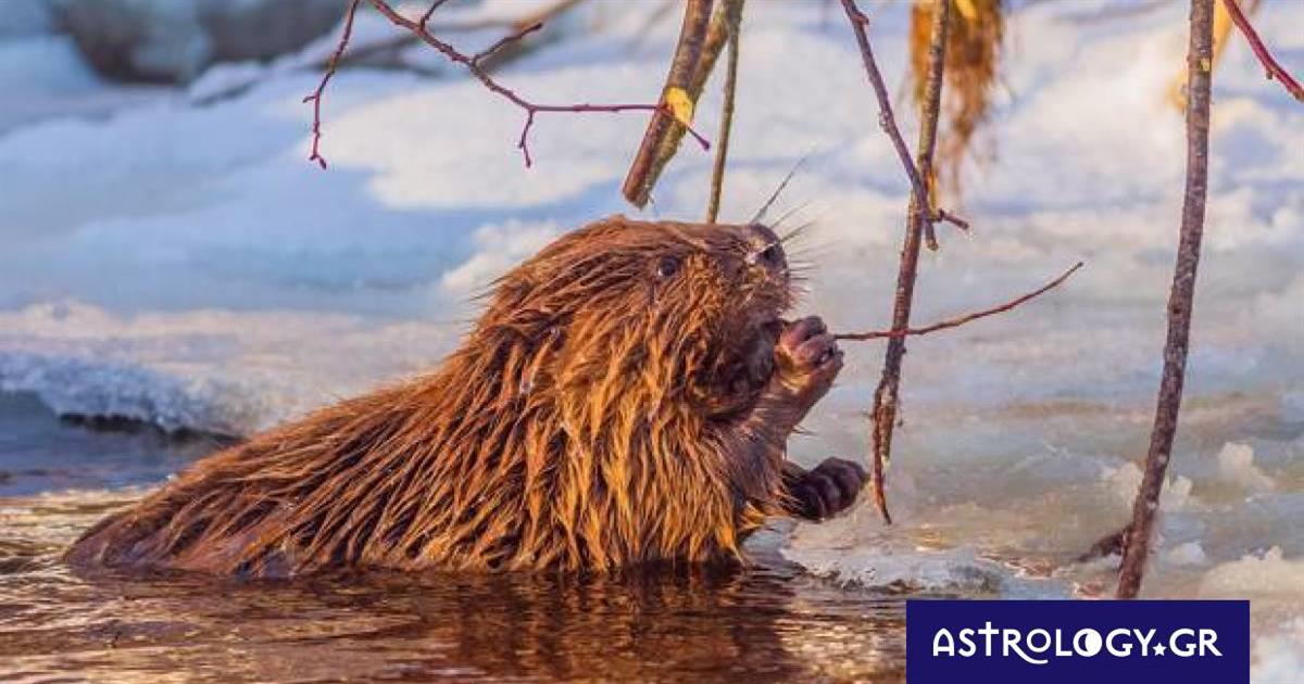Διάβασε ΔΩΡΕΑΝ την προσωπική σου πρόβλεψη, για σήμερα 25/02/2023