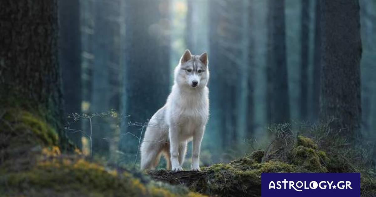 Διάβασε ΔΩΡΕΑΝ την προσωπική σου πρόβλεψη, για σήμερα 27/02/2023