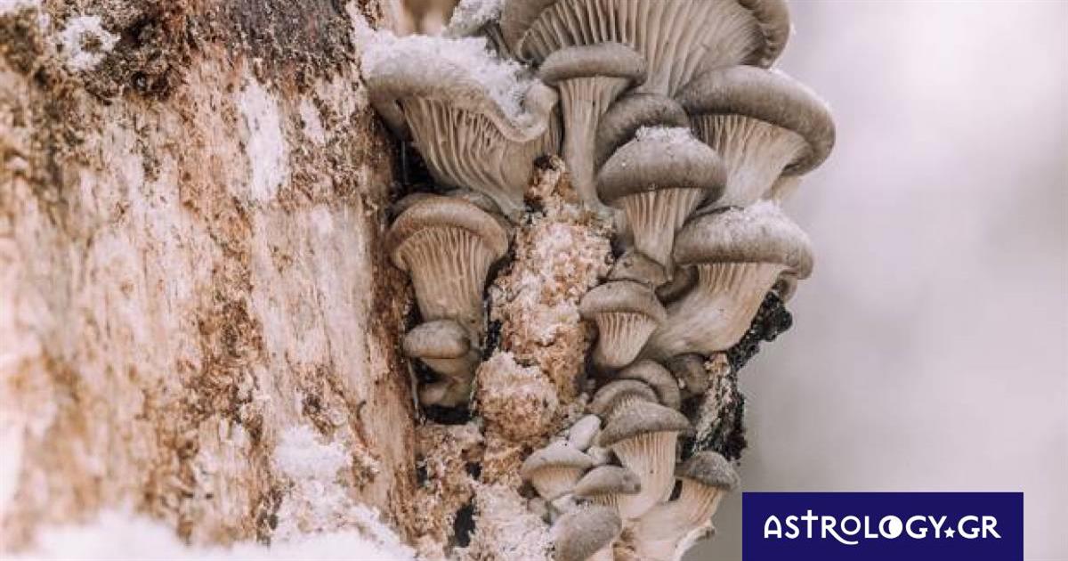 Διάβασε ΔΩΡΕΑΝ την προσωπική σου πρόβλεψη, για σήμερα 28/02/2023