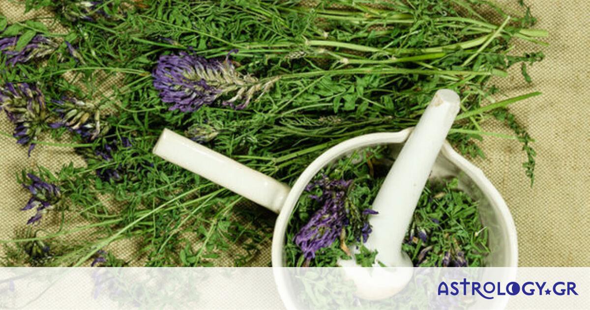 Κορονοϊός: Ποια είναι τα καλύτερα αντι-ιικά βότανα (εικόνες)