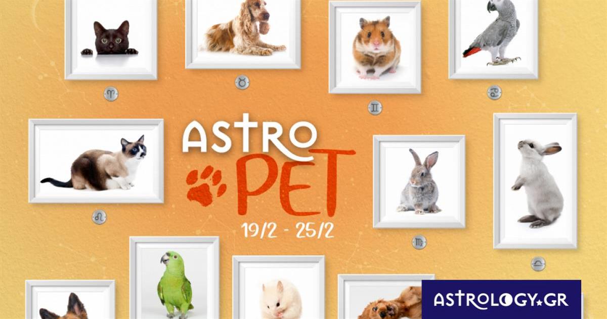 AstroPet από 19/02 έως 25/02: Εβδομαδιαίες προβλέψεις για το κατοικίδιό σου