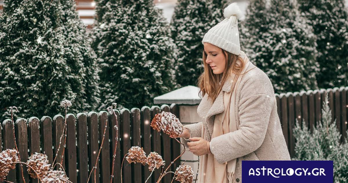 Ημερήσιες Προβλέψεις για όλα τα Ζώδια, 23/02