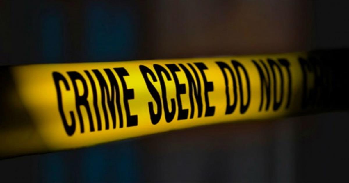 Αυτά τα ζώδια είναι γεννημένοι… εγκληματίες!