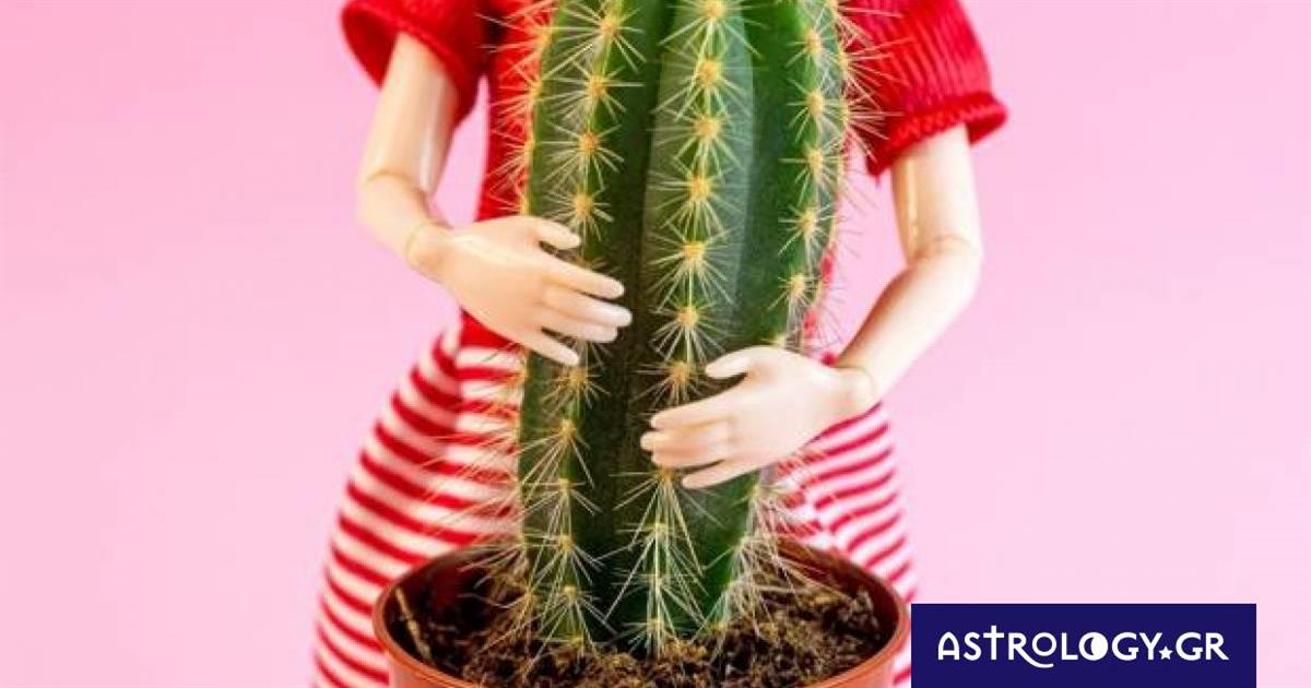 Τα τέσσερα ζώδια που εξιδανικεύουν τις τοξικές τους σχέσεις